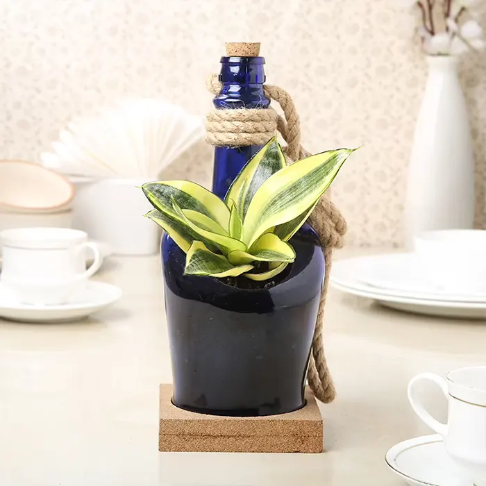 Antiquity Blue Hanging Bottle Planter With Cork Base