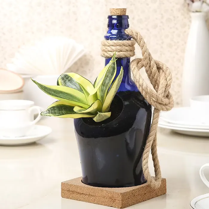 Antiquity Blue Hanging Bottle Planter With Cork Base