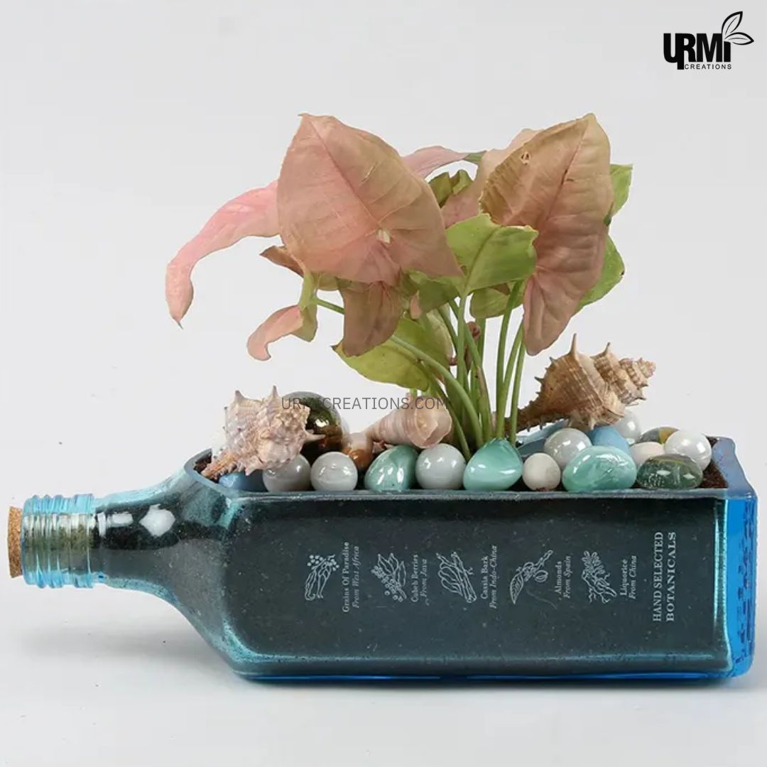 Bombay Sapphire Bottle Planters