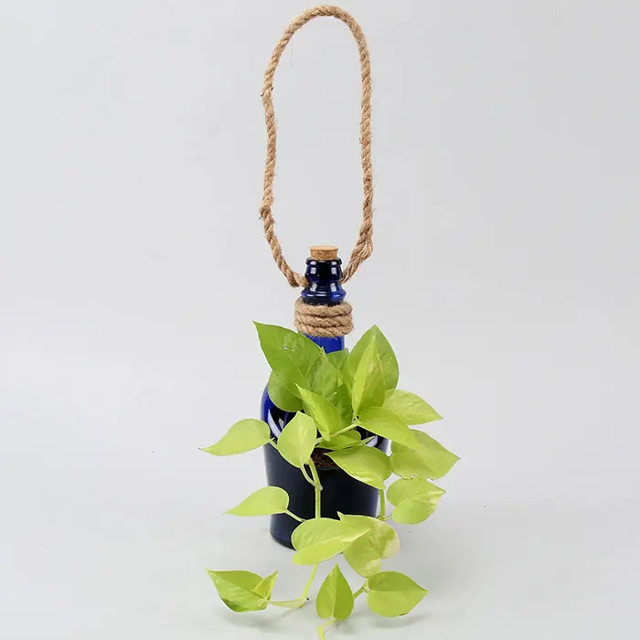 Antiquity Blue Hanging Bottle Planter